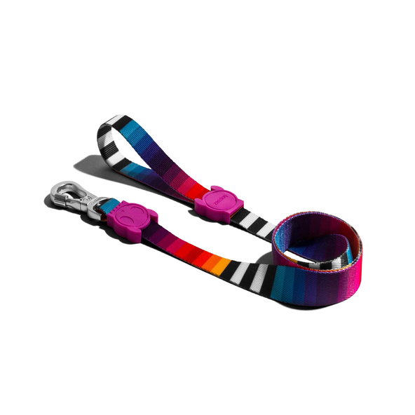 CORREA ZEEDOG PRISMA