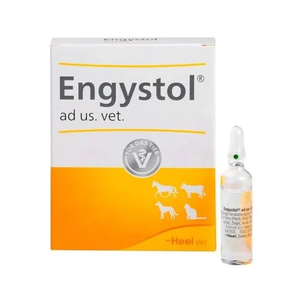 HEEL ENGYSTOL AMPOLLA * 5 ML