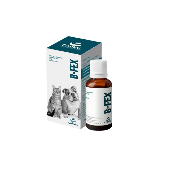 MED. B-FEX (Cefalixina) *60 ML
