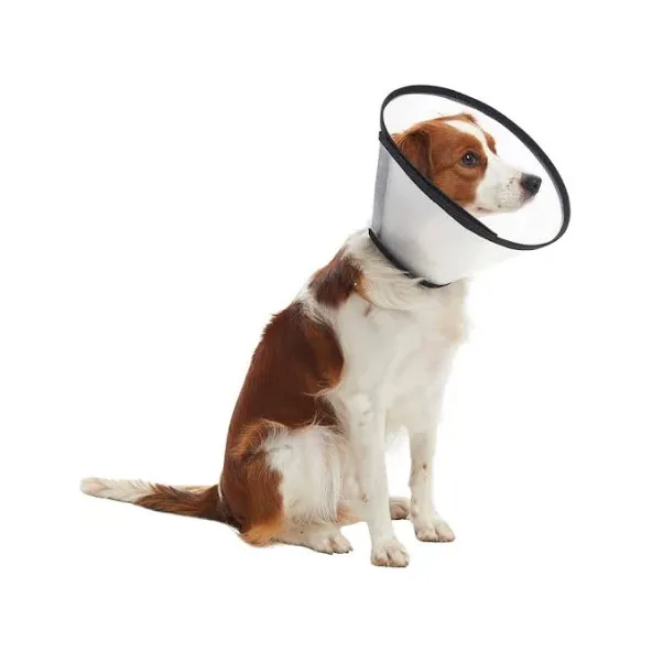 COLLAR ISABELINO ISAZA #1